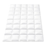 Giselle Bedding 800GSM Goose Down Feather Quilt Winter Blanket Duvet Comforter Single