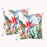 Paradise Twin Pack Poly Velvet Printed Cushion by Renee Taylor