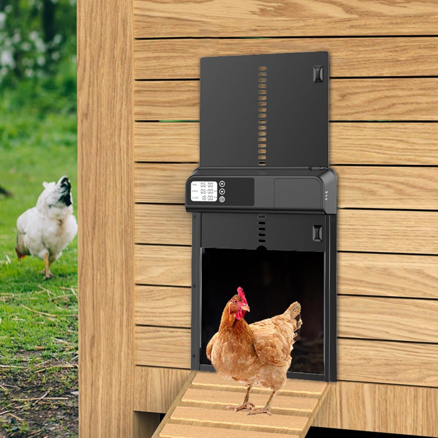 Automatic Chicken Coop Door with Timer & LCD Screen, Anti-Pinch Safety, Easy Battery Operation & Weatherproof for Outdoor Coops