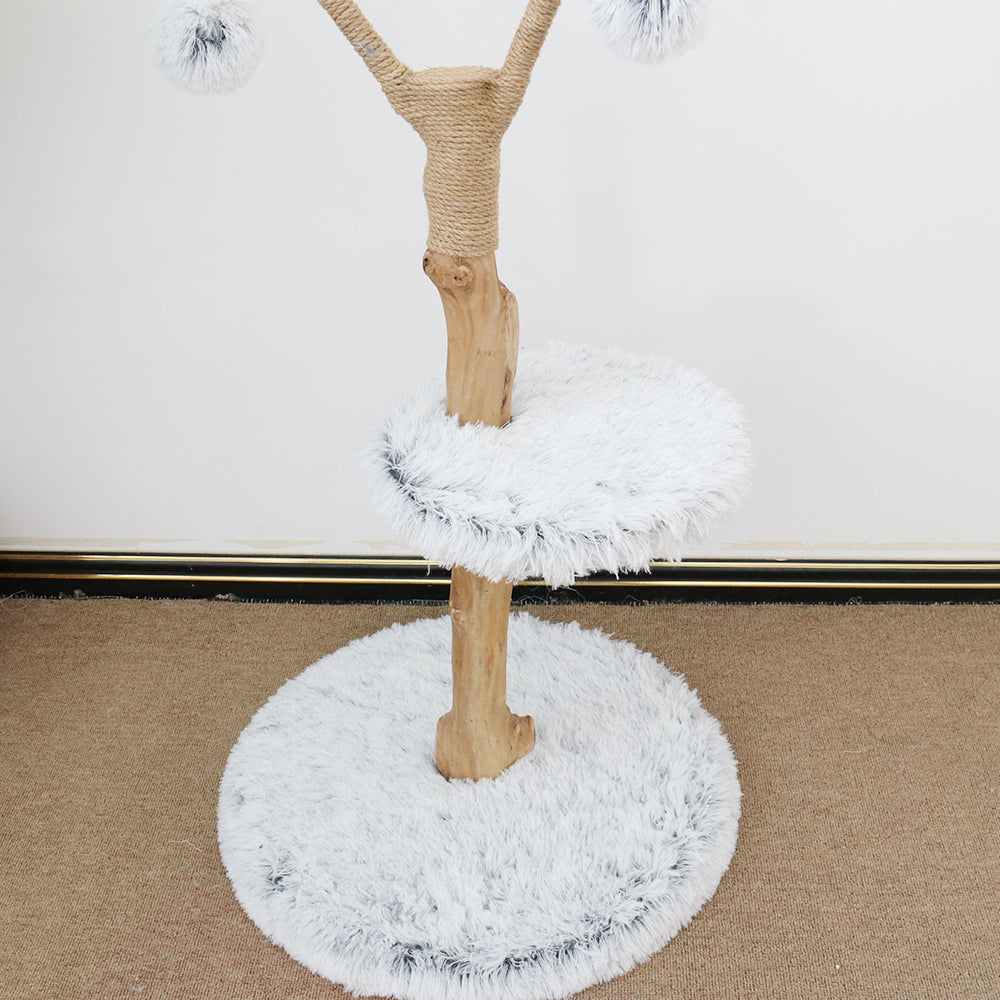 Single-level Cat Resort 50x50x86cm