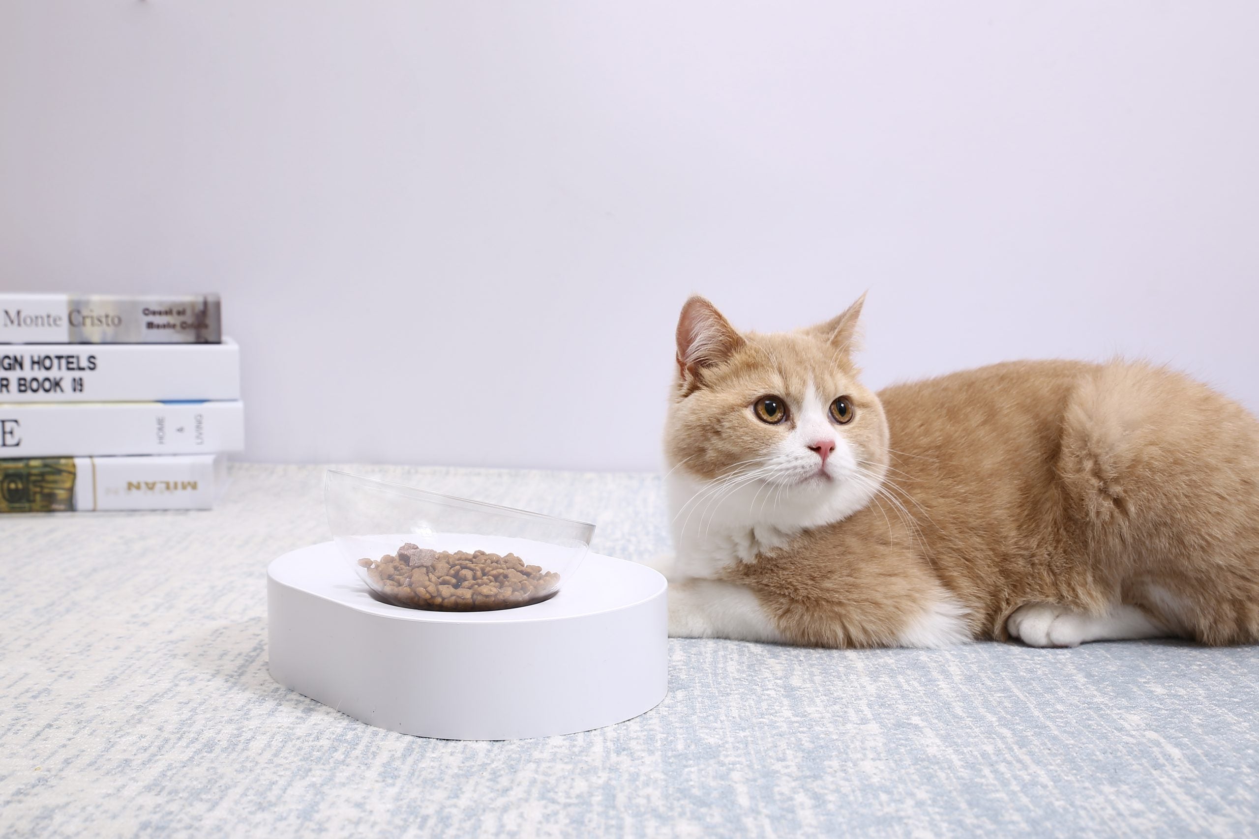 Fresh Nano-15 Adjustable Cat Feeding Bowl -Single