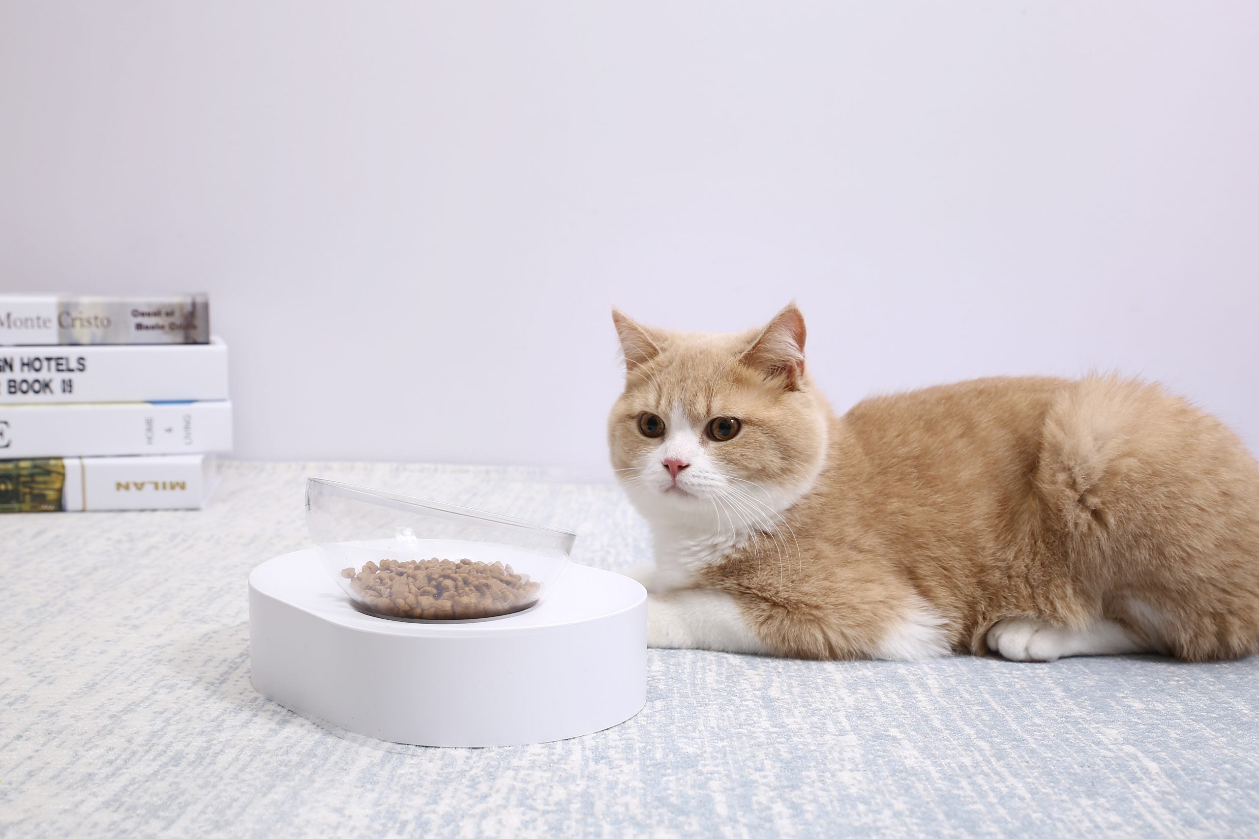 Fresh Nano-15 Adjustable Cat Feeding Bowl -Single