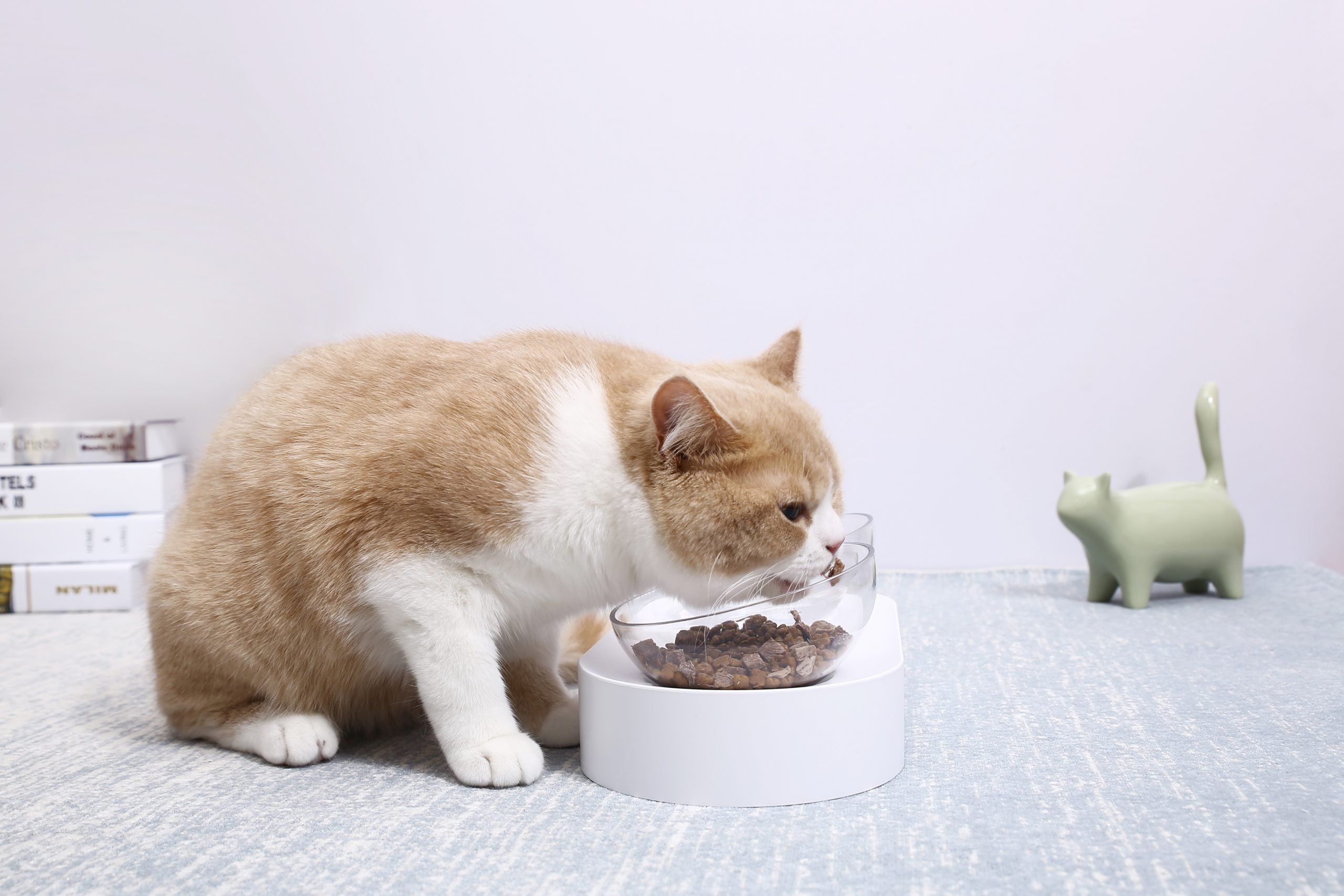 Fresh Nano-15 Adjustable Cat Feeding Bowl -Single