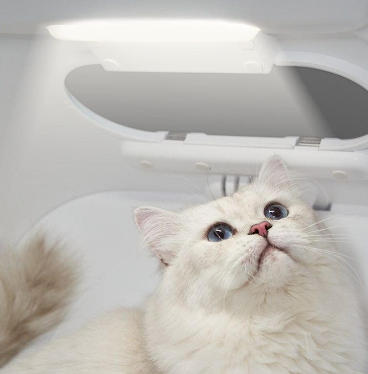AIRSALON Smart Pet Dryer Box