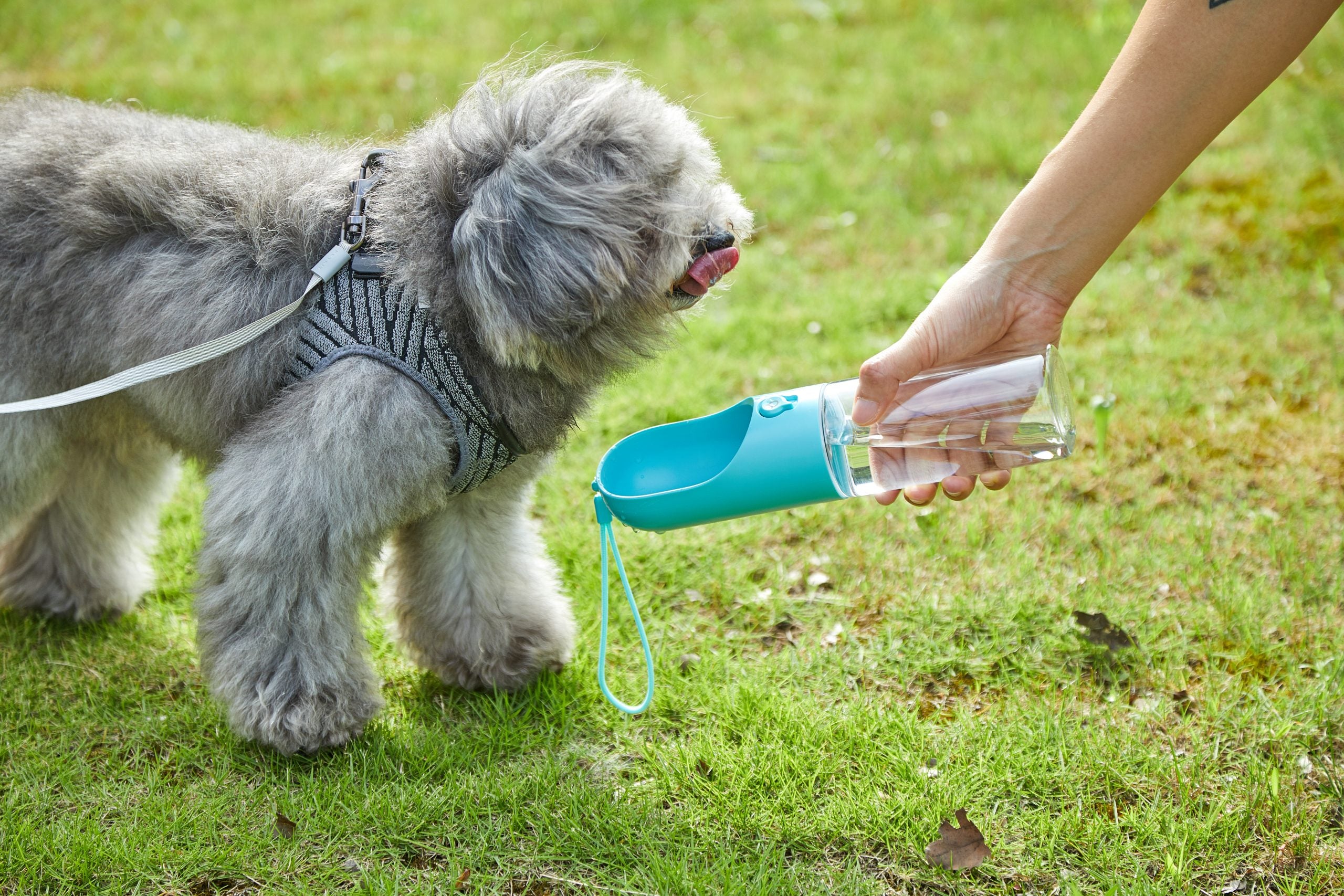 Pet Bottle 400ml - Blue