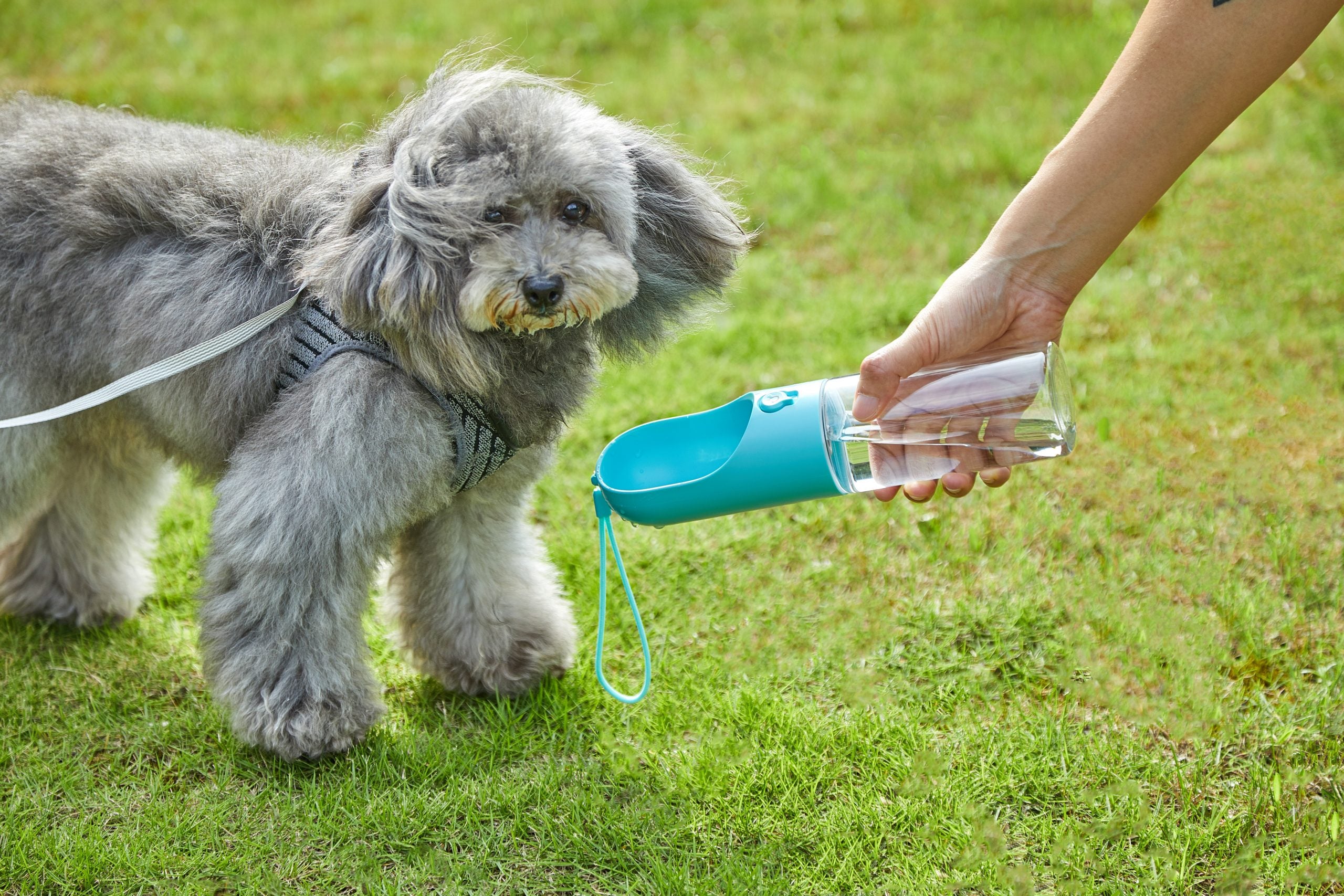 Pet Bottle 400ml - Blue