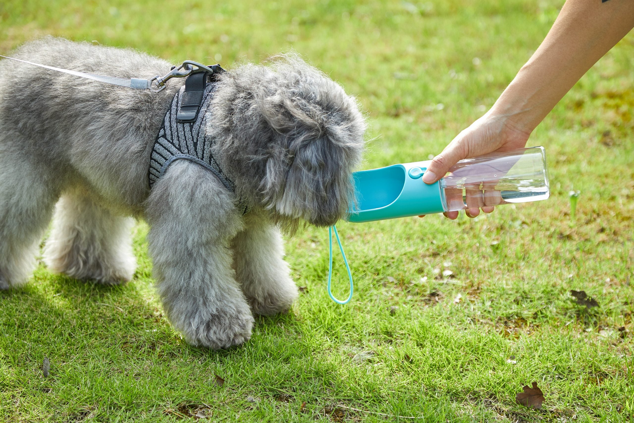 Pet Bottle 400ml - Blue