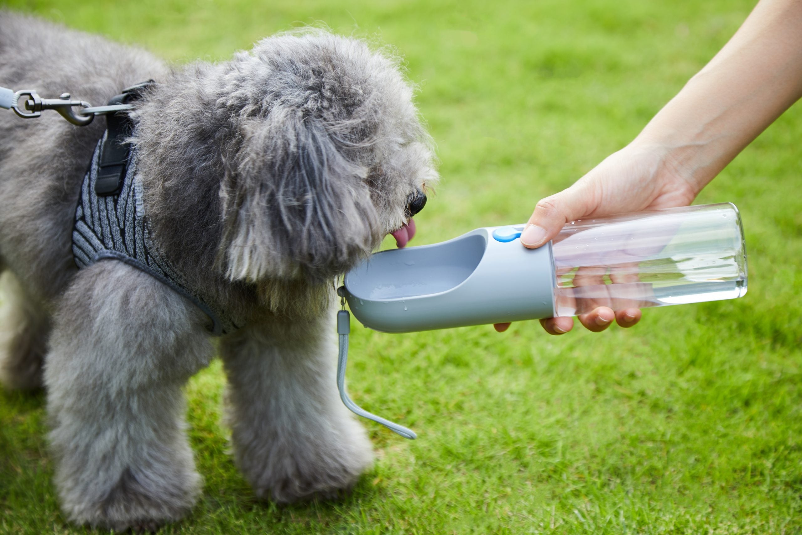 Pet Bottle 400ml - Grey