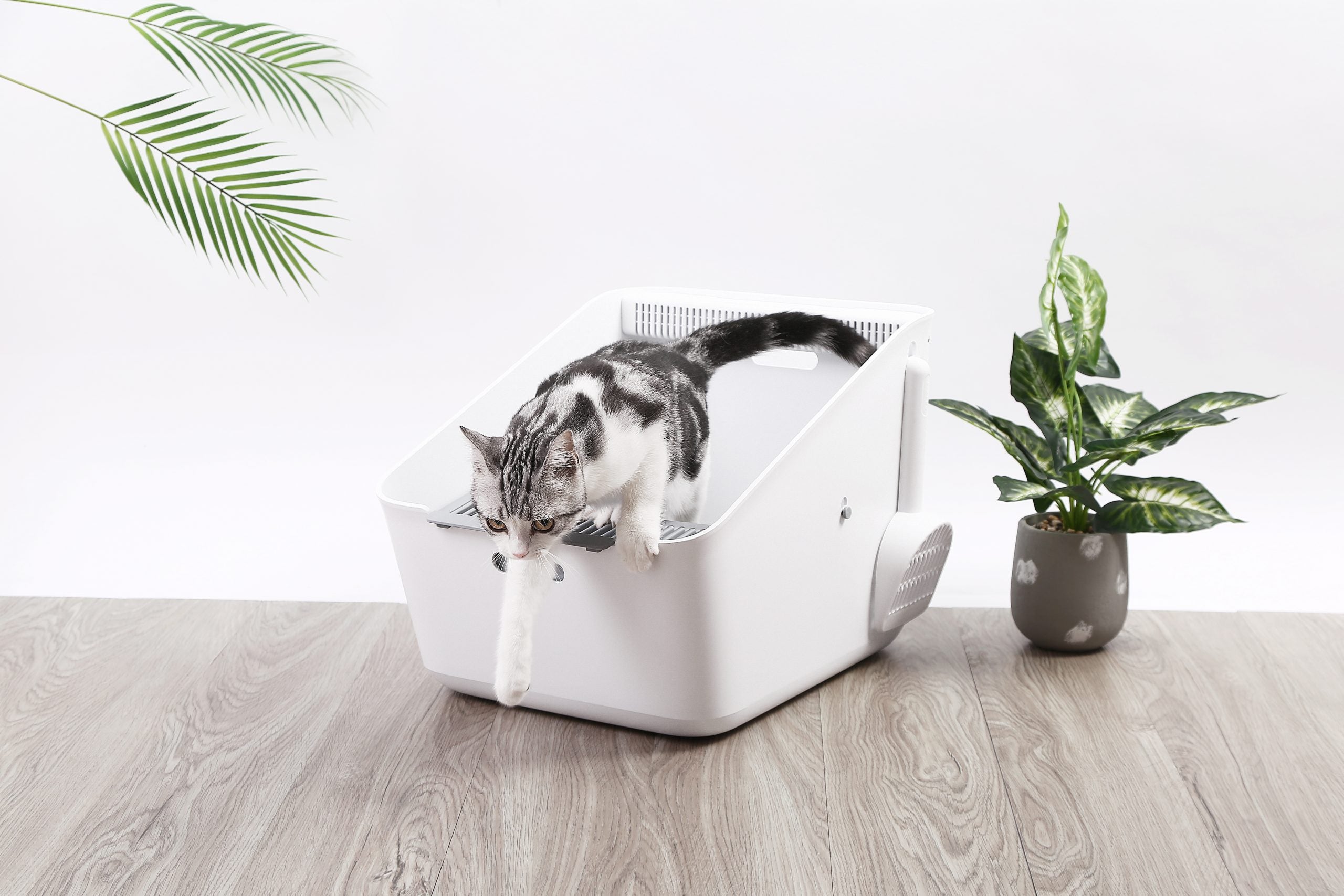 Pura Cat Litter Box