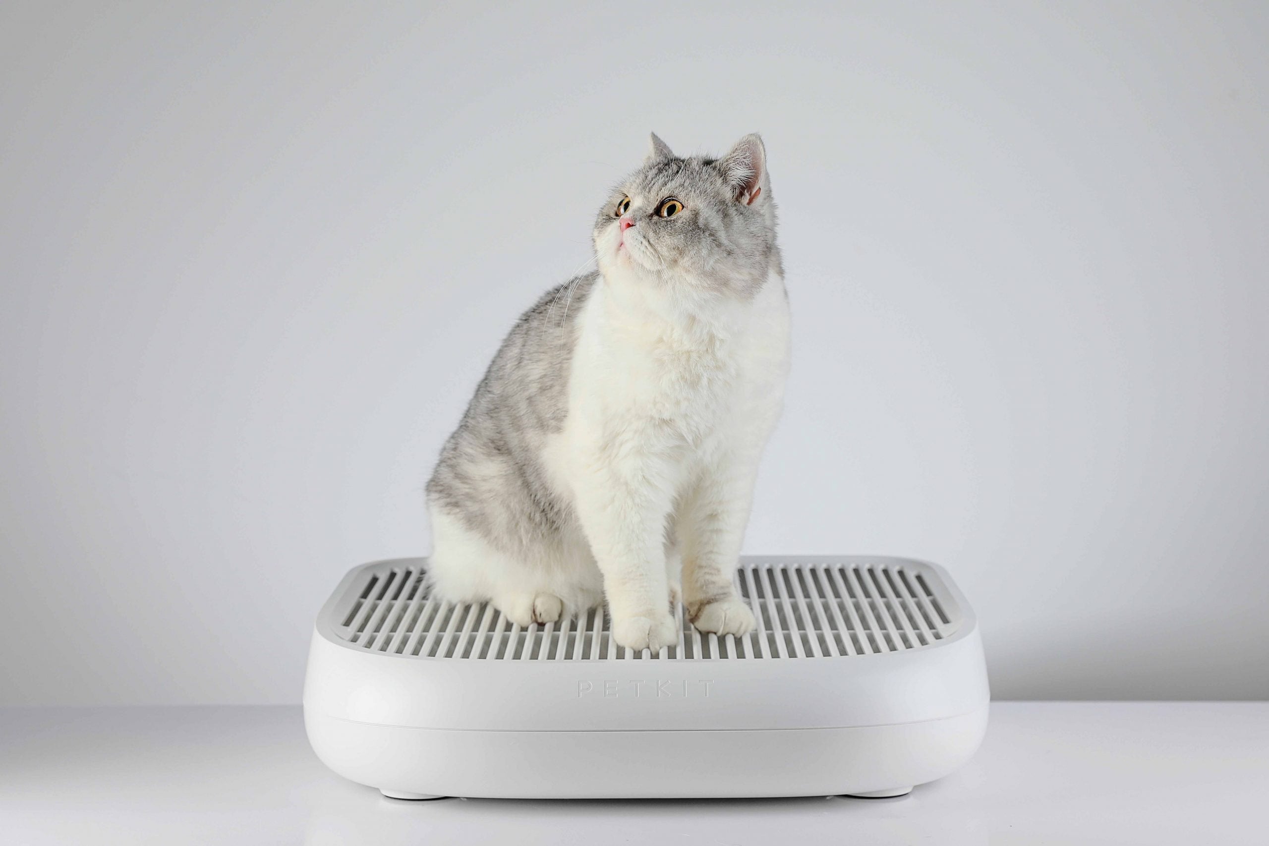 Cat Litter Trapper