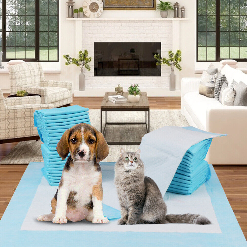 Pet Training Pad 400 Puppy Pads Toilet Pee Indoor Absorbent 60x60cm Dog